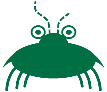 Picture of staring bug. Are You scared?
